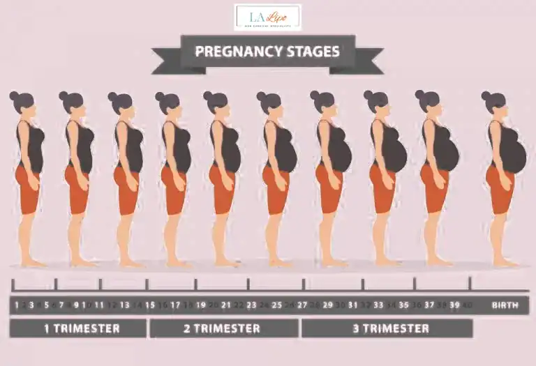 First Trimester (Weeks 1–12): Early Changes You Might Not Notice Tilbury